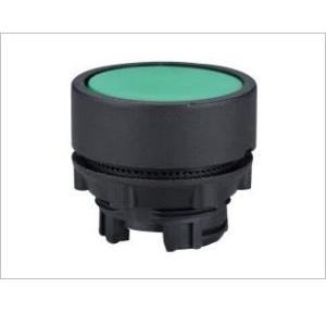 Teknic Blue Momentary Actuator Flush Type, P2AF6